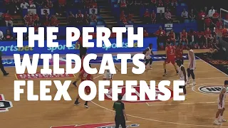 The Perth Wildcats Basketball Flex Offense