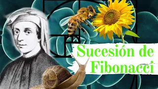 ¿Qué es la SUCESIÓN DE FIBONACCI? - La belleza MATEMÁTICA de la NATURALEZA - Explicación sencilla