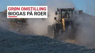 Grøn Omstilling - Biogas på sukkerroer