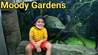 Moody Gardens 2021 Texas, USA.  Rainforest Tour & Review. #kolamassvlogs #moodygardens