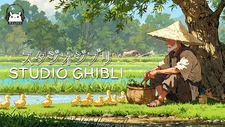 【Ghibli Piano Playlist】Ghibli Piano Medley 🎹 Relaxing Piano Music 💖 Study, Coffee, Reading, Healing