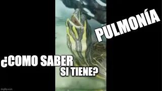 como saber si mi tortuga tiene neumonía