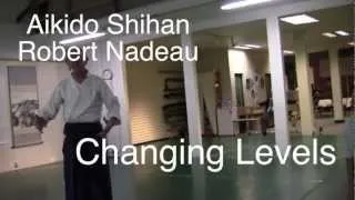 Aikido Shihan Robert Nadeau: Changing Levels