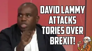 David Lammy Attacks Brexit And Tories For Supplies, Staff And Skills Shortages!