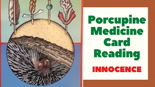 Porcupine Medicine Card Reading - Innocence Contrary | Native American Shamanism