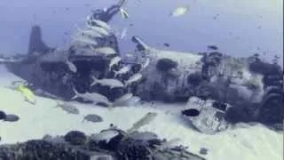 Oahu Corsair WWII Plane Wreck