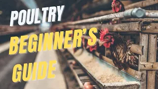 Poultry farming full guide for beginners - The FarmGuide Sn1 E2