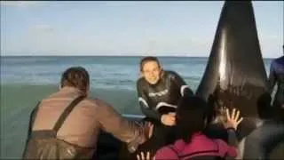 Rescuing Putita the Orca (with Dr Visser interview)