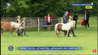 Stirile Kanal D (02.06.2023) - Spectacol ecvestru aproape de capitala | Editie de dimineata