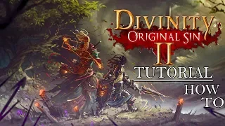 Divinity Original Sin 2 Tutorial | How to install mods | List of the best mods | Improve your game!