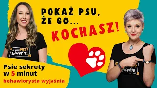 Jak okazać psu miłość? Poznaj 5 skutecznych sposobów