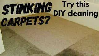 DIY Carpet cleaning | Disinfect your carpet| Baking soda+salt
