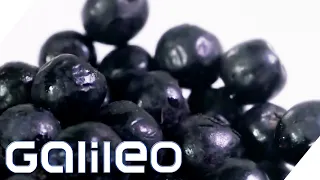 Diese Beere ist eine Superfood-Vitaminbombe! | Galileo | ProSieben