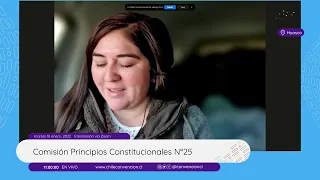 Comisión de Principios Constitucionales N°25 - Convención Constitucional Chile - 18-01-2022.