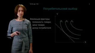 ИнЭИ Экономика Лекция №1.1 «Теория потребительского поведения»