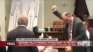 VIDEO: Forensic pathologist testifies in Murdaugh murder trial