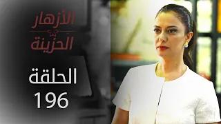 مسلسل الأزهار الحزينة | الحلقة 196 - الموسم الثاني