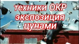 Техники при работе с ОКР Экспозиция Цунами психолог психотерапевт Браторская Виолетта Харьков