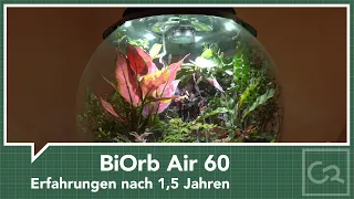 BiOrb Air 60 - Erfahrungen nach 1,5 Jahren