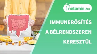 Immunerősítés a bélrendszeren keresztül| netamin.hu