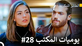 دوائي فيك، تعرف - سلسل الطائر المبكر