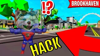 😱JAK být NEVIDITELNÝ v BROOKHAVENU!🏡 | SKRYTÝ HACK | Jongles