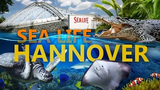 SEA LIFE Hannover - Von der Leine bis in den Ozean! | Zoo-Eindruck