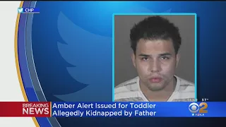 Amber Alert Issued After Toddler Abducted By Father In LA