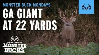 Giant Georgia Buck at 22 YARDS | Bill Jordan | Monster Bucks Mondays