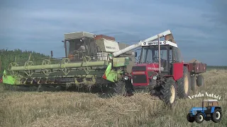 Žně 2022 / Fortschritt E516 B / Zetor Crystal 10145 / Zetor 7011