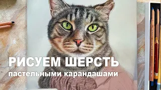 РИСУЕМ ШЕРСТЬ КОТА