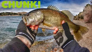 Shore Fishing for Fat Bass in High Winds-Castaic Lagoon