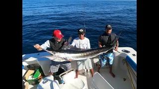 PESCA DE MARLIN EN MAZATLAN // CATCH & COOK