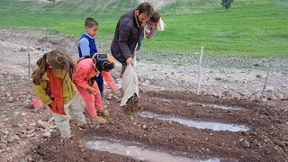 "Traditional Organic Gardening: A Comprehensive Guide to Growing Vegetables."