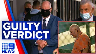 Former police minister’s father sentenced for hit-and-run | 9 News Australia