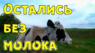 Остались без коз и молока. Продолжаем сокращать поголовье.