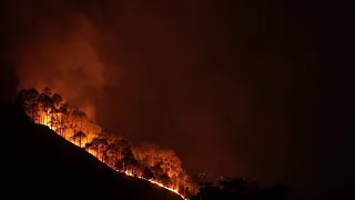Wildfire Forest Fire (FREE STOCK VIDEO)