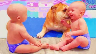 Tiere lieben Babys - Süße Babys und Hunde sind beste Freunde