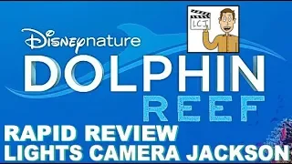 ‘Dolphin Reef’ Movie Review