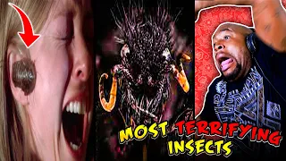 MOST TERRIFYING INSECT ENCOUNTERS REACTION