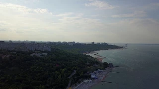 odessa - fly above the shores against the wind before sunset