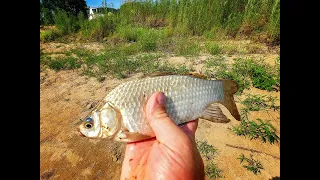 За карасем 🐟 на Б. Уссурийский