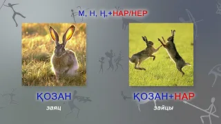 Шорский язык.  Видеоурок 10. Окончания НАР, - НЕР