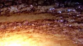 Hubble HD: Spiral Galaxy NGC 2841 Pan Video