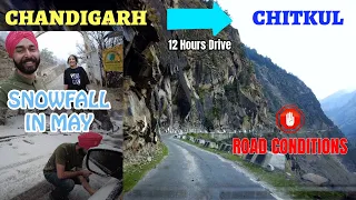 Unexpected Snowfall at Chitkul | Chandigarh to Chitkul Road Trip - Road Conditions, Distance, Time