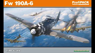 Fw-190 A-6 1/48 full build