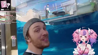 What a cutie oh my god! | Ironmouse and CDawgVA in a Japanese aquarium