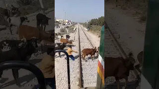 Train Accident 😱 | Train Almost Hit the boy 😭 #viral #shortsvideo #pakistani #train #accidentnews