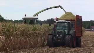 Mais Hakselen 2018 : Old Skool hakselen met Claas Jaguar 690 en Fendt Farmer 311 LXA