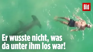 Schwimmer merkt nicht, dass unter ihm ein Hai schwimmt